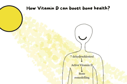 Sunlight iniitiates the starting mechanism for vitamin d production which in turn aids in calcium absorption for healthy bones