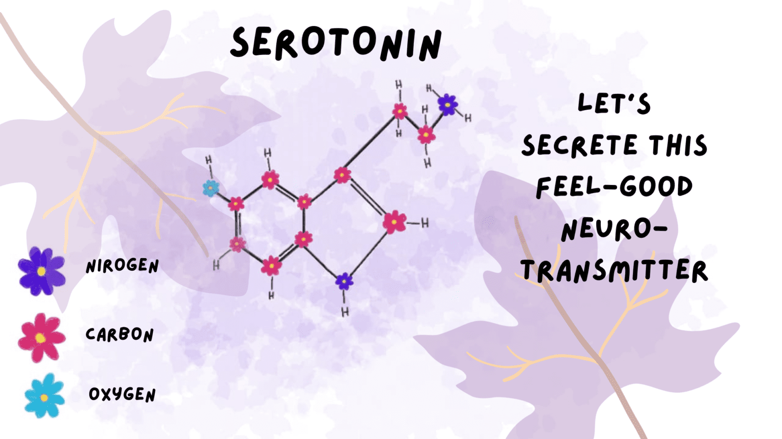 How serotonin is released at synapses as a neurotransmitter?