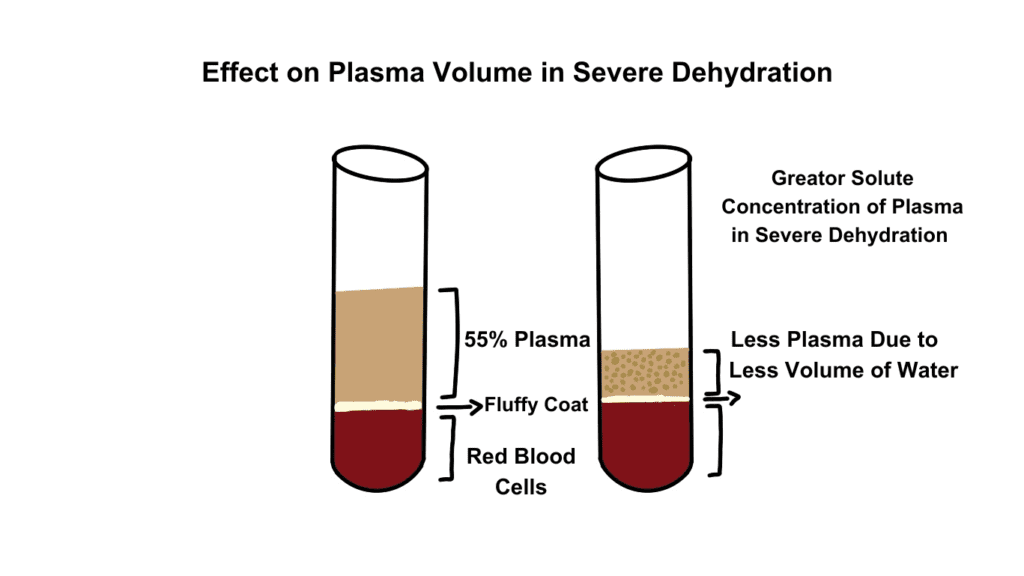 Blood composition in severe dehydrations