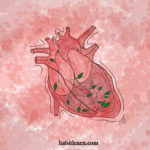 Congestive heart failure insights, its causes and body changes