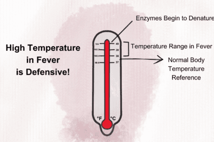 High temperature in fever. Learn about Fever as a a defensive mechanism