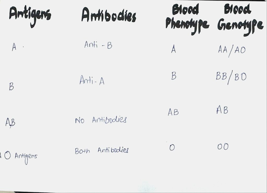 Antigen, antibody, blood group phenotype and genotype information in a comprehensive table.